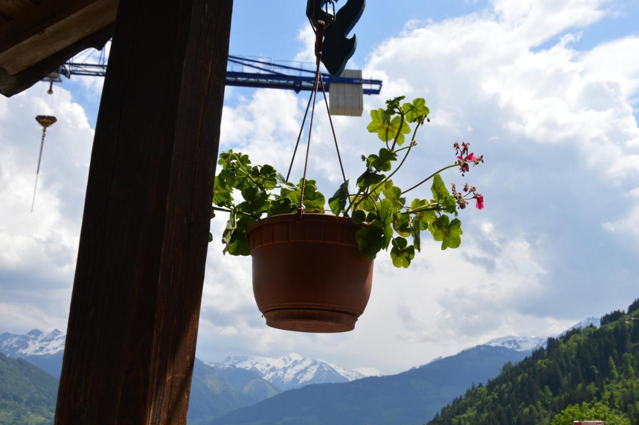 Appartamento Haus Ebenberghof Zell am See Esterno foto