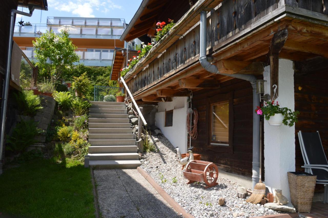 Appartamento Haus Ebenberghof Zell am See Esterno foto